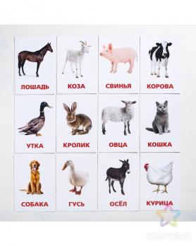 Карточки обучающие А6 Miland "Домашние животные и птицы" 12шт  0239-02438