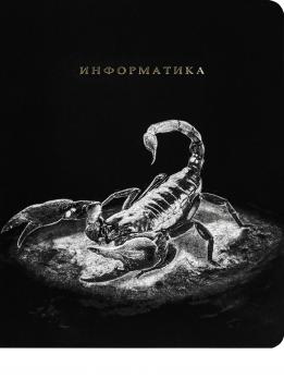 Тетрадь предметная Информатика А5 48л Проф-Пресс "Blacksoft" клетка, софт-тач  48-1734