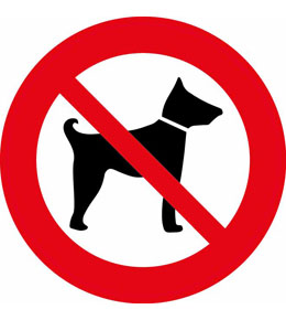 Информационная наклейка 10,6х10,6см Миленд "Запрещено с собаками"  9-82-0005