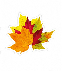 Наклейка декоративная Miland "Разноцветные листья" на скотче 1шт 9*9,5см. 10-10.04-0005(6,4,3)